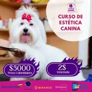 curso-estetica-canina