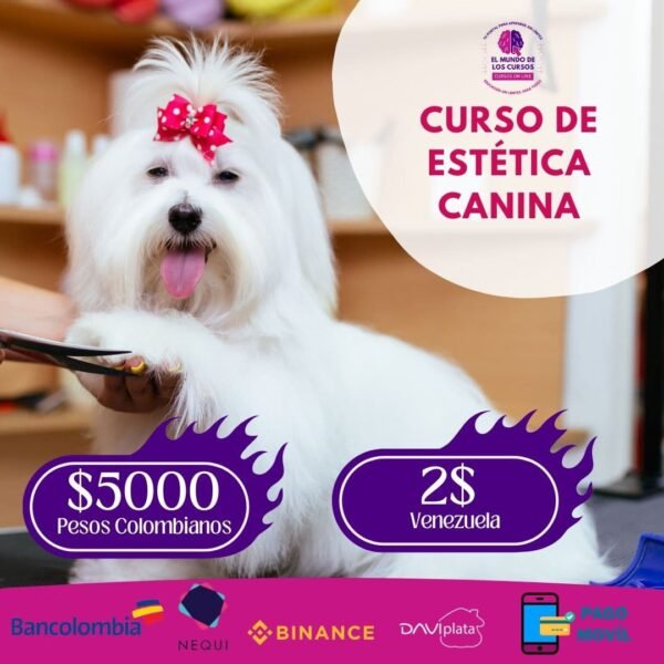 curso-estetica-canina